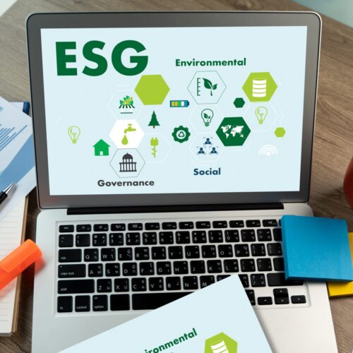 ESG Software for Small Businesses: Tools for Sustainable Growth