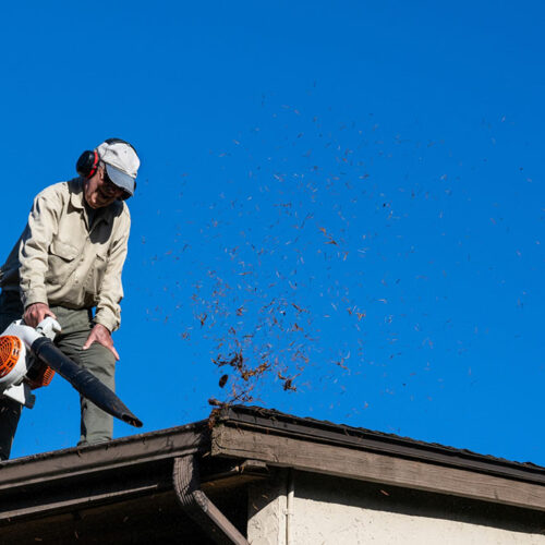 Top 6 Leaf Blowers for Gutter Cleaning