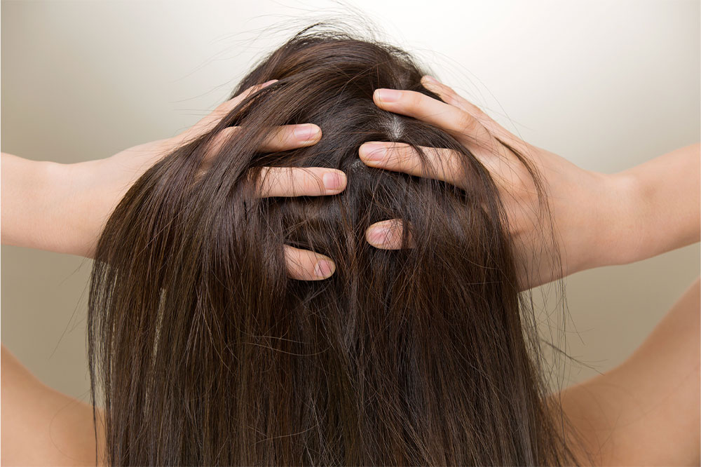 Top 5 Products to Combat Hair Loss