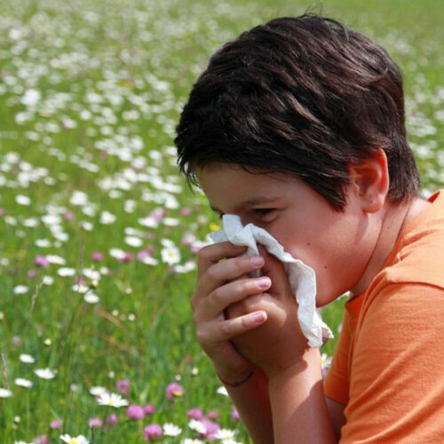 Five food items to fight pollen allergy