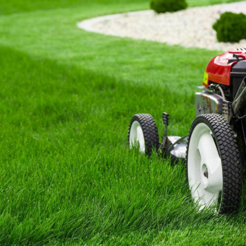 Here&#8217;s how you can choose the best lawn edger