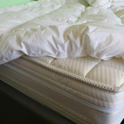 How online mattress companies are growing popular