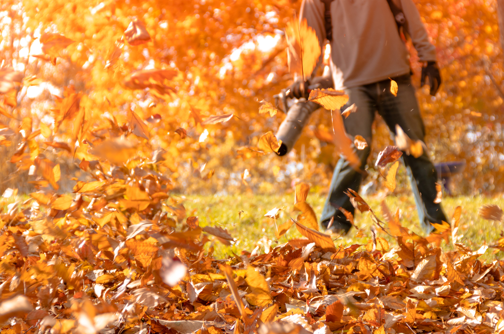 How to Choose the Best Leaf Blower