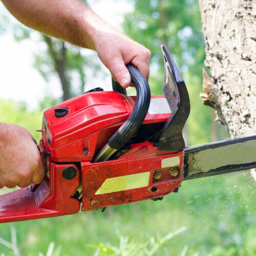 Introduction to chainsaws and STIHL chainsaws