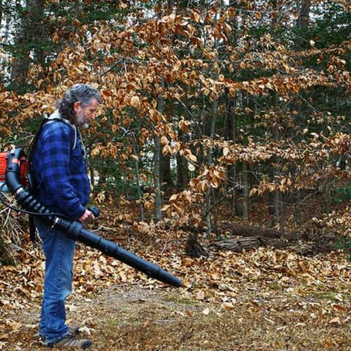 Know about the Types of Leaf Blowers