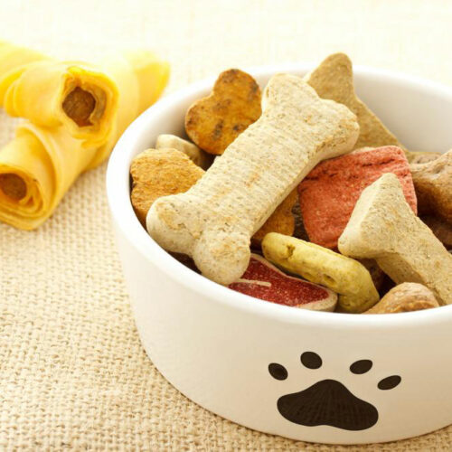 Popular and long lasting dog chew treats