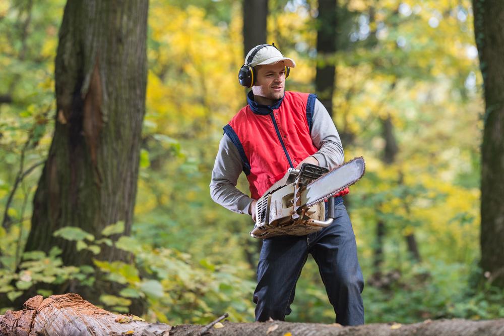 Tips to buy chainsaw and save money without quality compromise