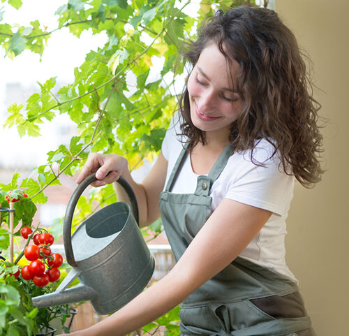 Why You Should Protect Your Plants With a Water Spray