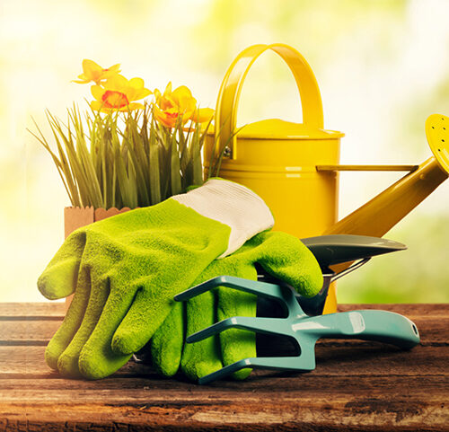 5 Gardening Accessories You Simply Must Have