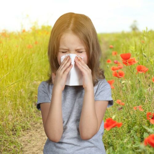 Effective medicines for kids suffering from allergies