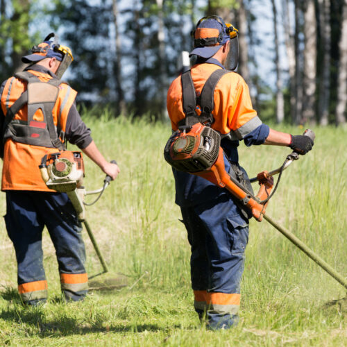 Features Of Different Types Of Weed Trimmers