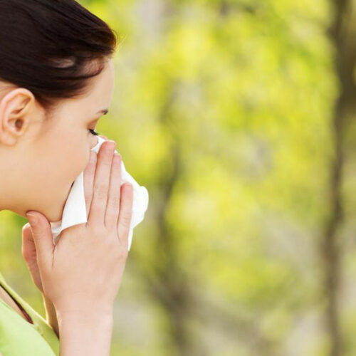 How to Check For Signs of Pollen Allergies