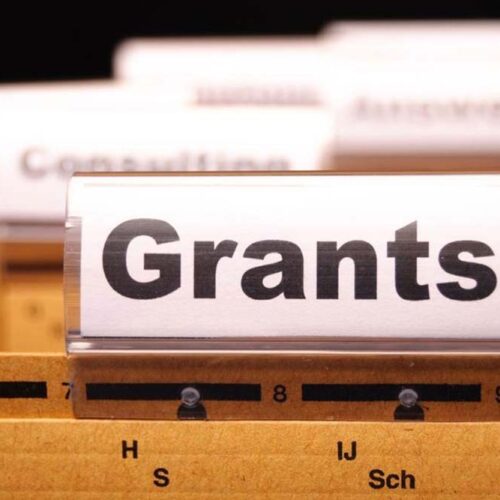 Know about organizations that are eligible for a federal government grant