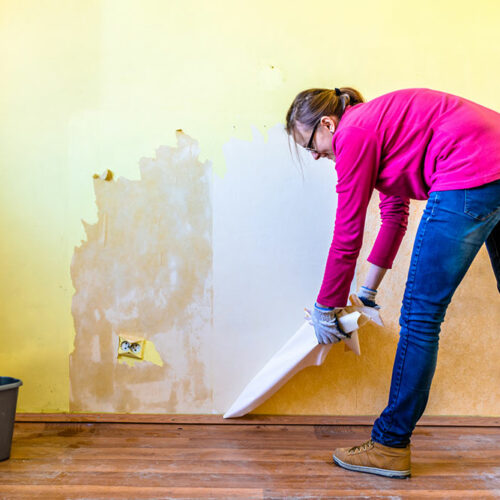 Tips and tricks to deal with house water damage