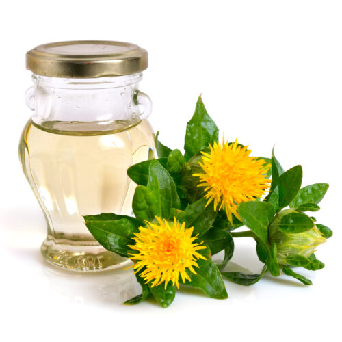 3 Significant Things You Must Know About Cla Safflower Oil