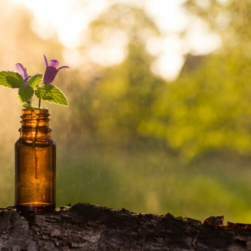 5 natural remedies to treat hair loss in children