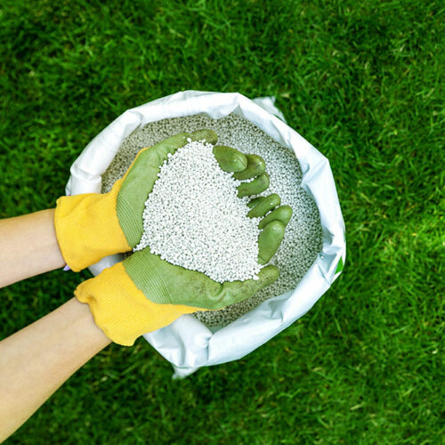 A Complete Guide to Lawn Fertilization